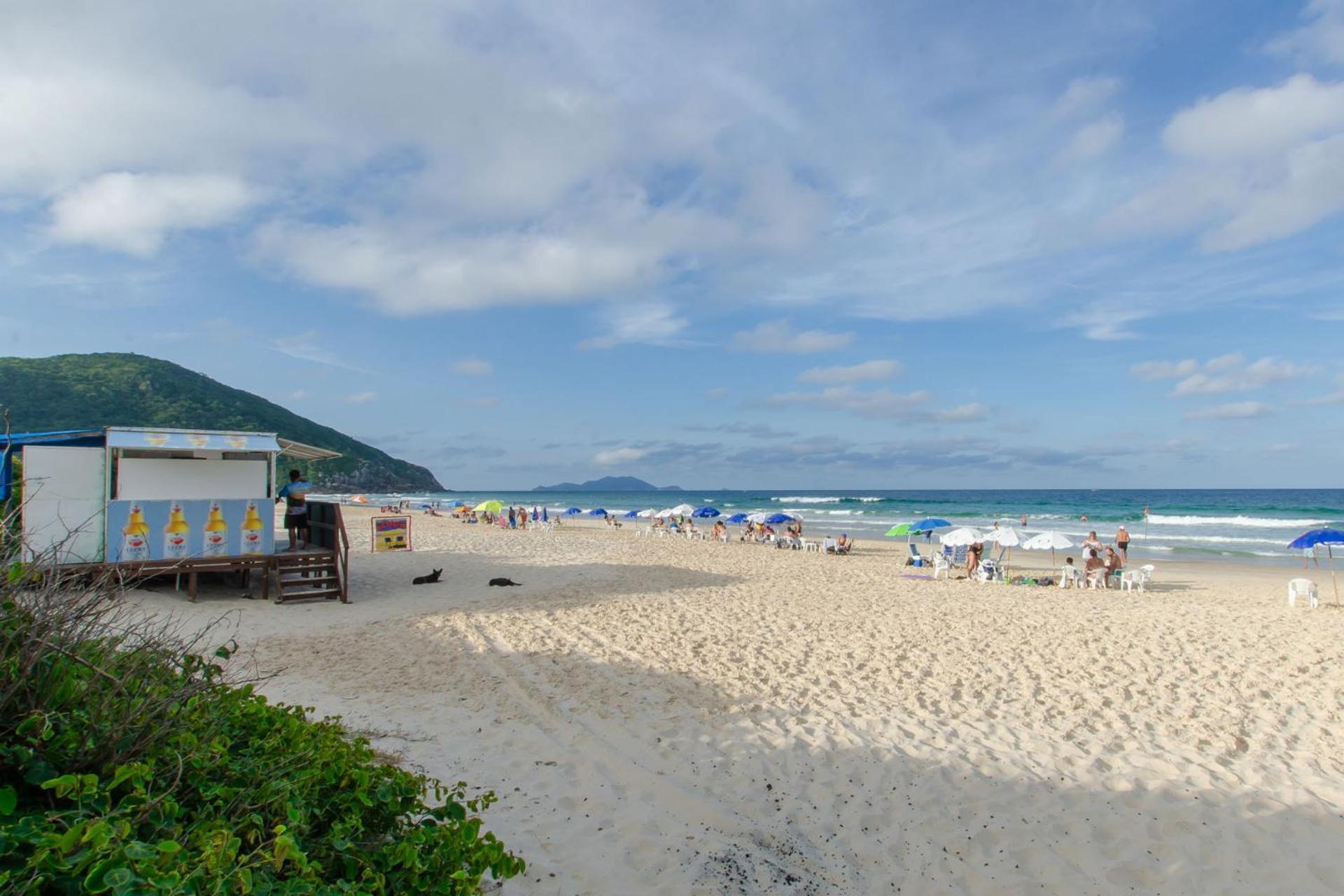 Aconchego Com Piscina A 450M Da Praia Vc1555 Leilighet Florianópolis Eksteriør bilde